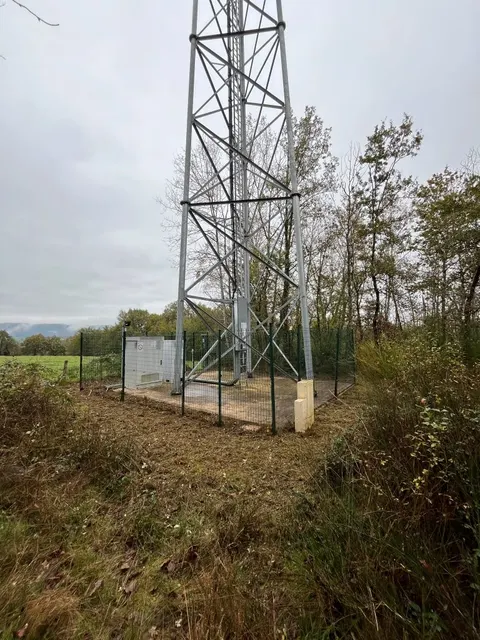 Abords d'un pylône télécom entourés de végétation