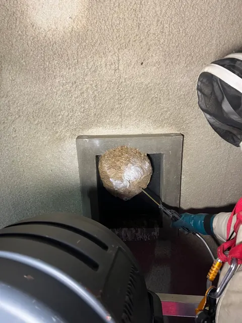 Traitement d'un nid installé dans une ouverture technique