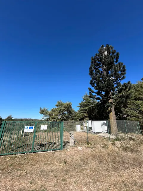 Site radio camouflé en arbre, derrière sa clôture