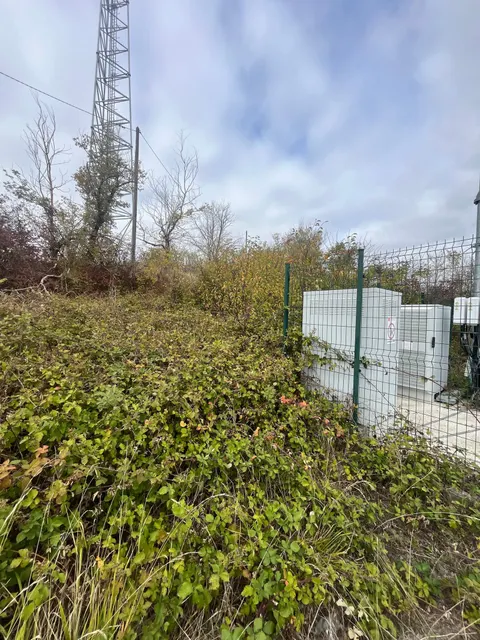 Avant : Ronces et broussailles le long de la clôture d'un site