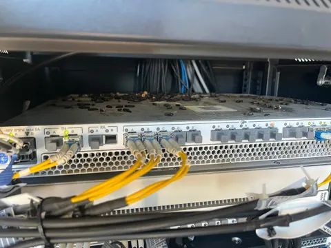 Traces de rongeurs sur des équipements télécom